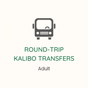 Round Trip Kalibo Adult