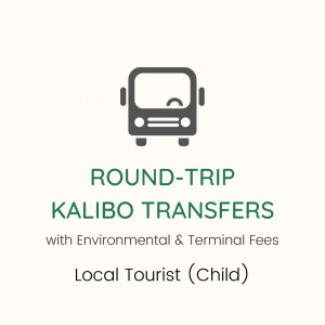 Round Trip Kalibo Transfer Child